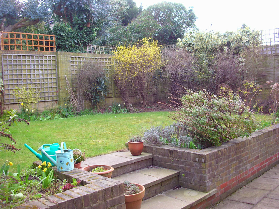 The garden before